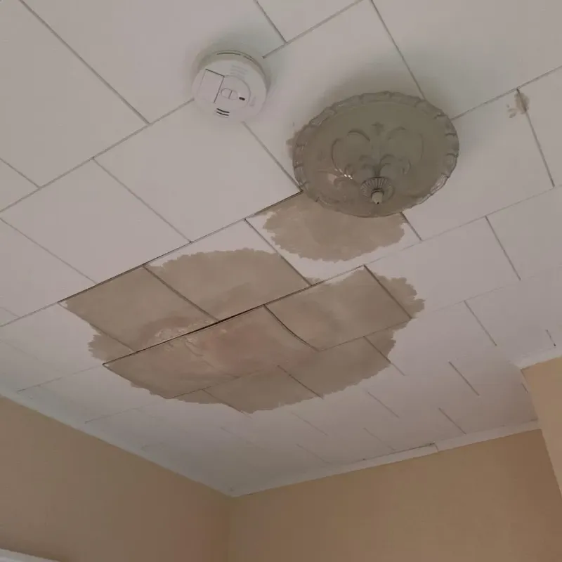 Ceiling Water Damage Repair in Roeland Park, KS