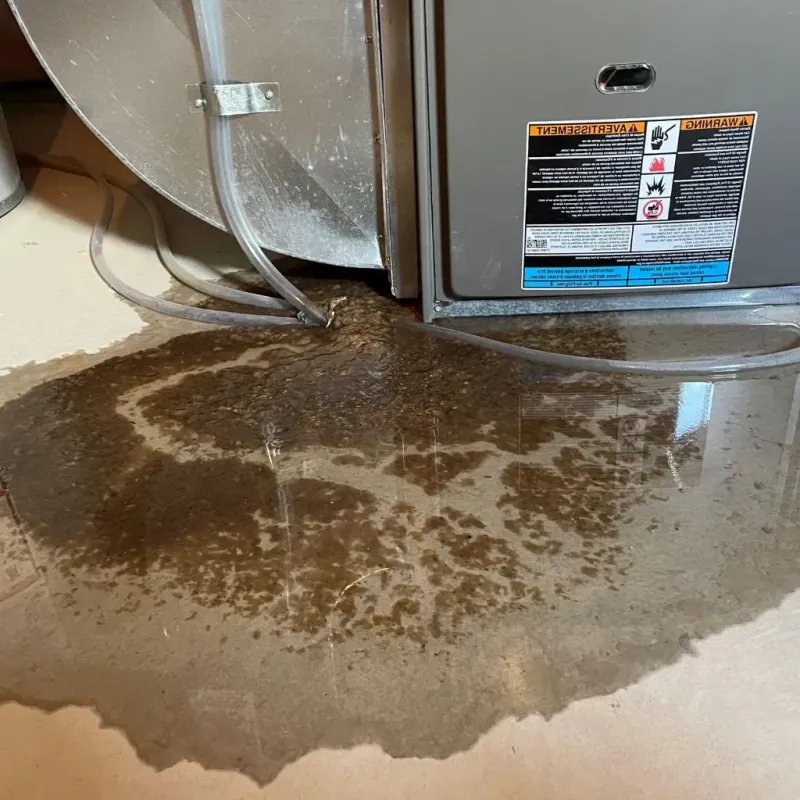 Pipe Burst and Leak Restoration in Roeland Park, KS
